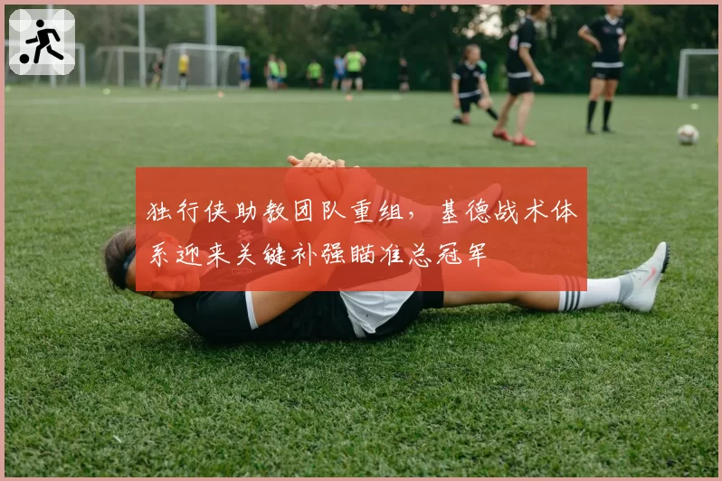 独行侠助教团队重组，基德战术体系迎来关键补强瞄准总冠军