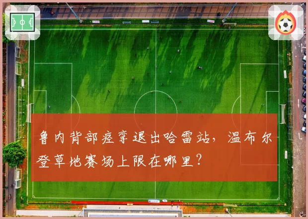 鲁内背部痉挛退出哈雷站，温布尔登草地赛场上限在哪里？
